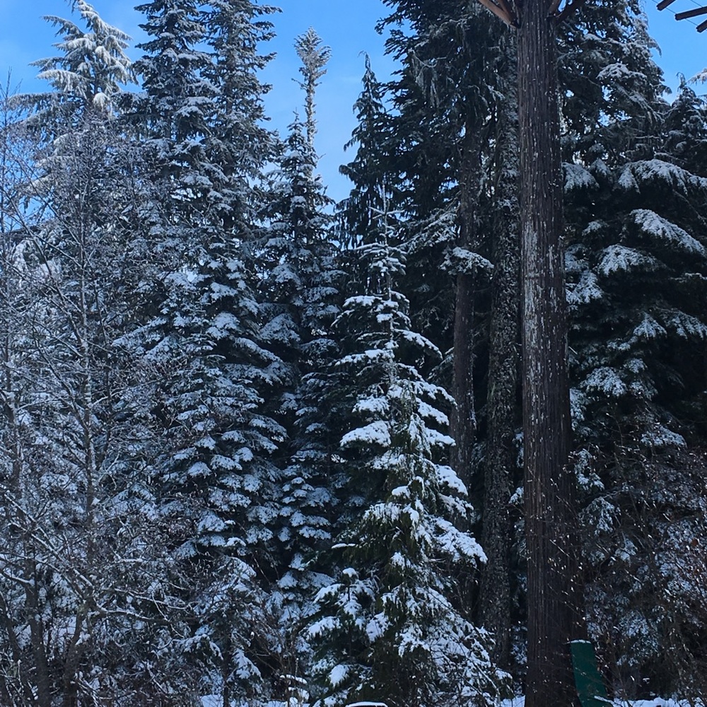 Meet your Posher, Angelica